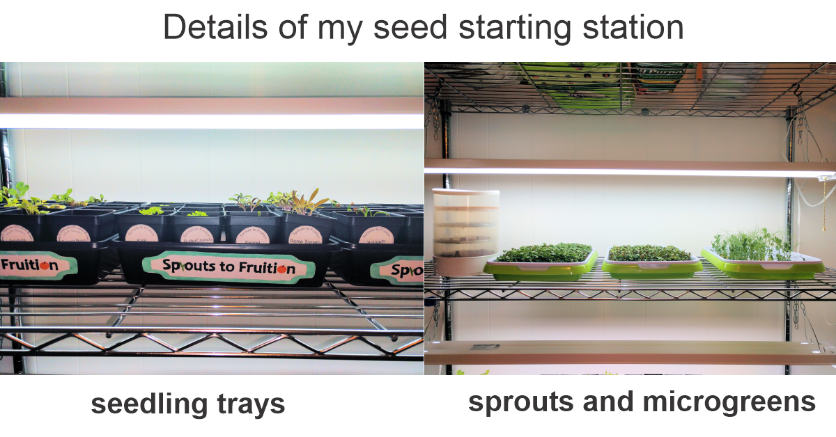 seed starting station details